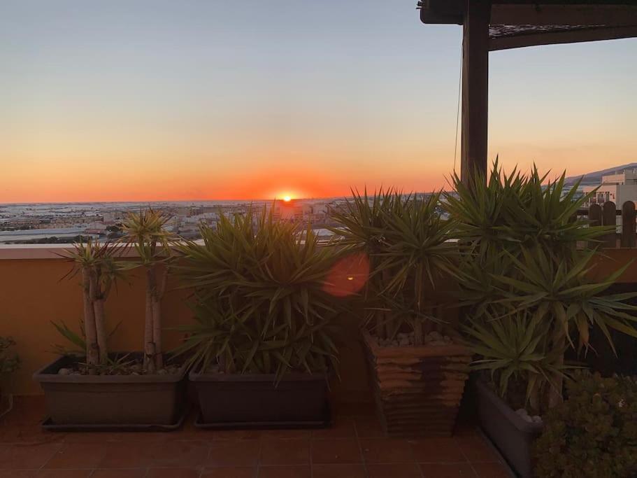 Apartmán Precioso Atico Cerca Playa Con Bonita Terraza Aguadulce  Exteriér fotografie